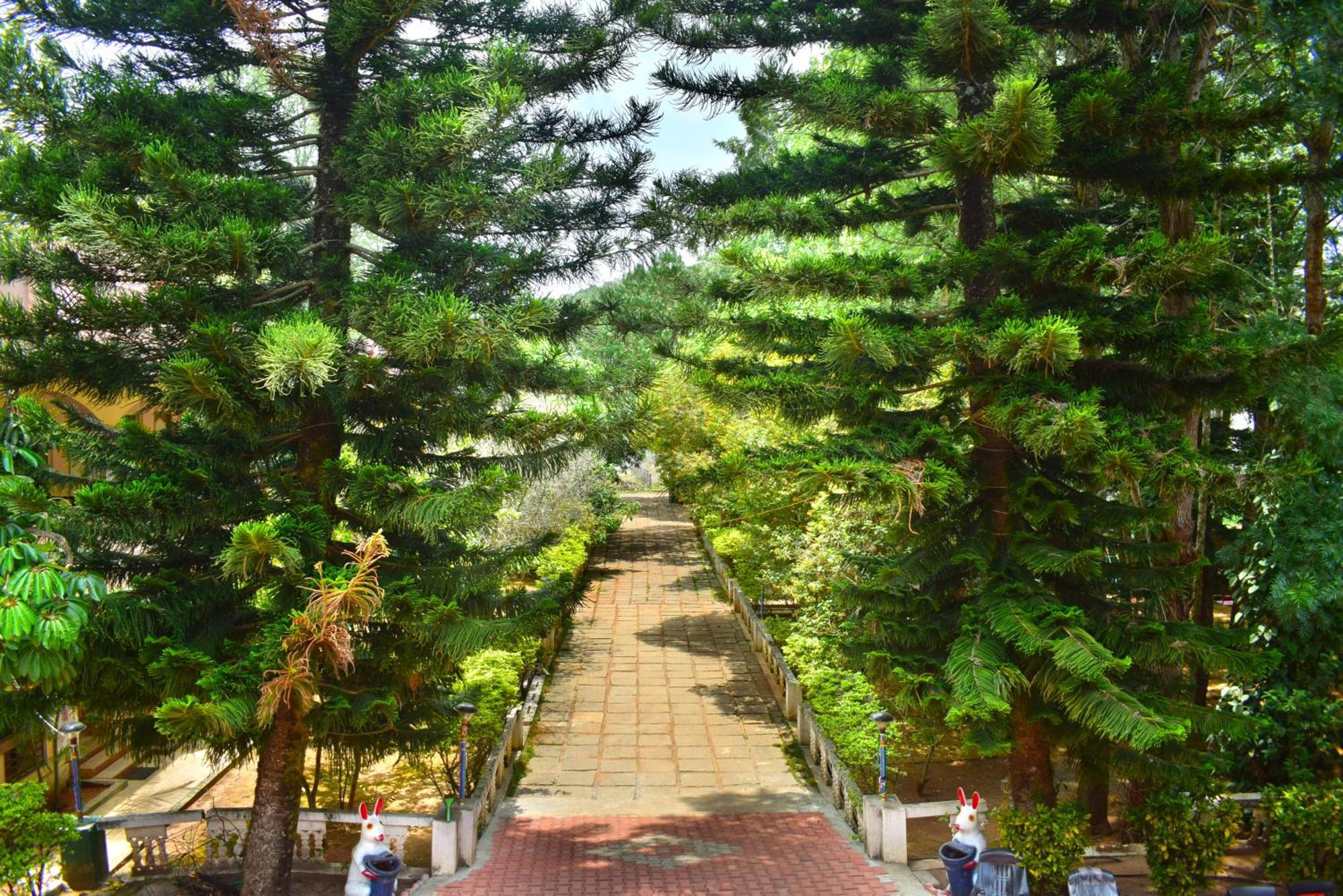 Jains Royal Palace Resorts Yelagiri Esterno foto